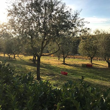 Il Villino Farmhouse Castellina in Chianti Kültér fotó