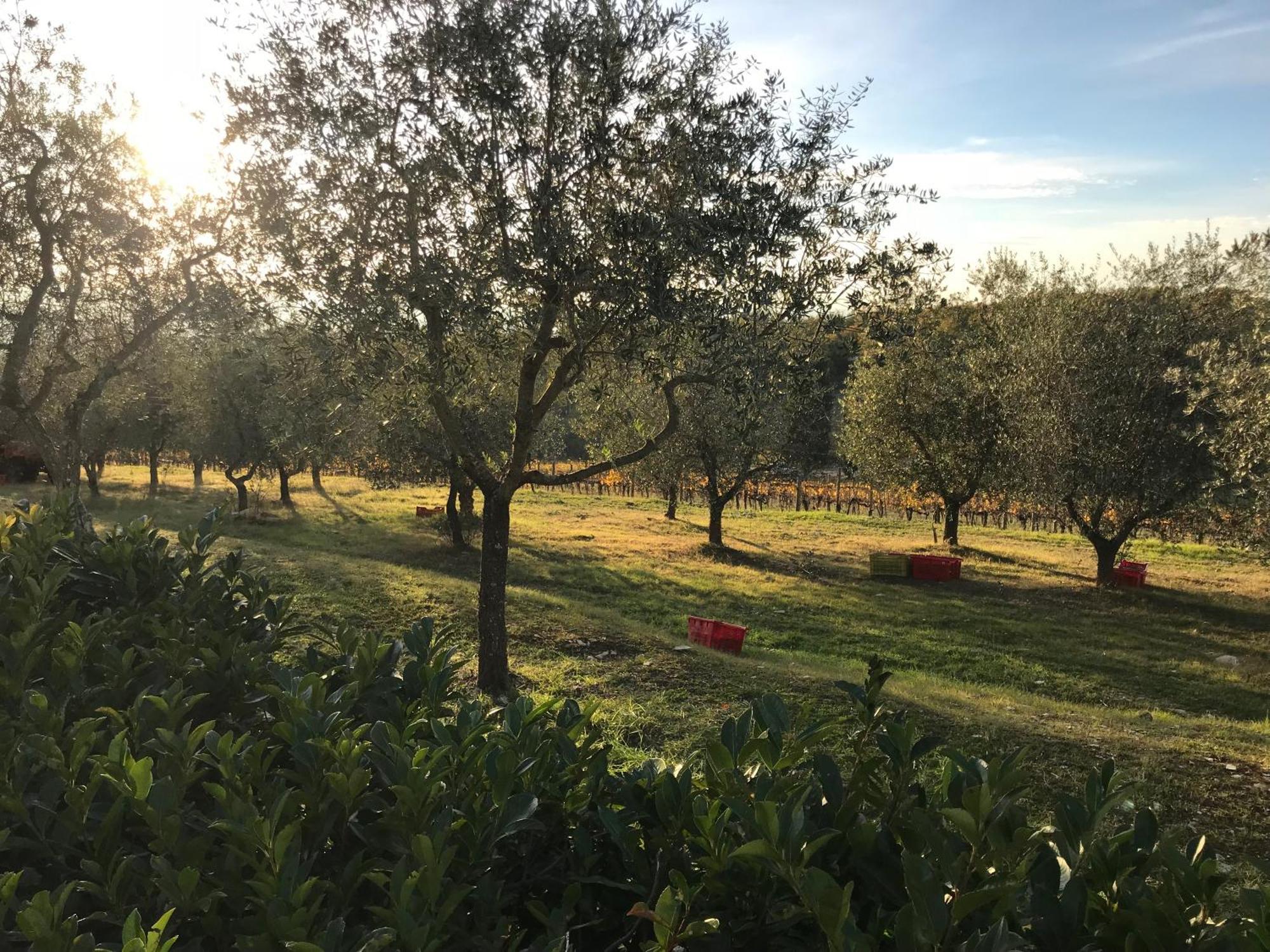 Il Villino Farmhouse Castellina in Chianti Kültér fotó